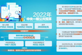 国产自产48页,揭秘我国自主创新的辉煌成就
