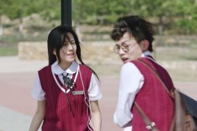 国产爱情电视剧,国产爱情剧的浪漫之旅