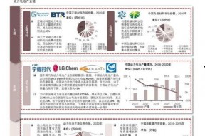 国产21页,揭秘我国科技发展的新篇章